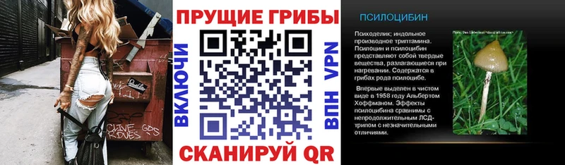 Галлюциногенные грибы прущие грибы Котово