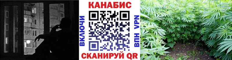 где можно купить   Котово  Бошки марихуана индика 